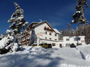 Erika penzión Vysoké Tatry